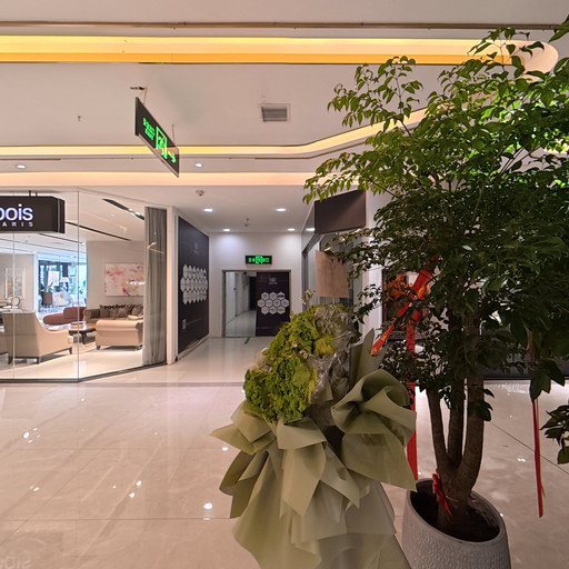 王鹏旭｜智装侠